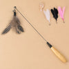 Cat Teaser Wand with Detachable Feather and Bell Attachment