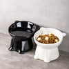 Ceramic Angled Elevated Pet Bowl