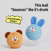 Squeaky Dog Ball Toy