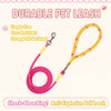 Dog Leash for Everyday Walks
