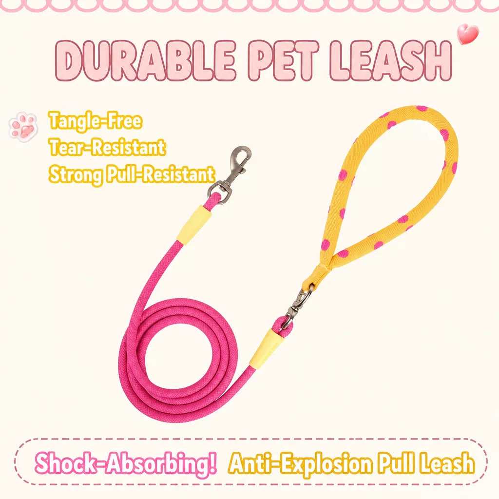 Dog Leash for Everyday Walks