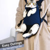 Breathable Mesh Pet Carrier Backpack