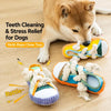 Squeaky Slipper Dog Toy