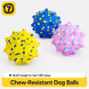 Durable Dog Ball Toy for Chewing and Interactive Play