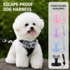 Small Dog Harness and Leash Set