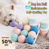 Ice Cream Tennis Ball Dog Toy
