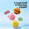 Cartoon Squeaky Ball Dog Toy