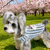 Lightweight Cotton Pet Shirt for Dogs and Cats