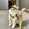 Pet Outdoor Harness and Hat Sets for Small Dogs and Cats