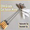 Cat Teaser Wand with Detachable Feather and Bell Attachment