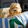 Car Pet Bed with Removable Washable Cover and Seat Belt Strap