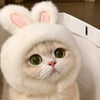 Playful Pet Costume Hats for Cats & Dogs