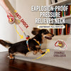 Polyester Harness for Small Dogs