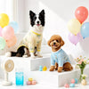 Lightweight Four-Leg Dog Bodysuit for Summer