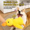Plush Squeaky Dog Toys
