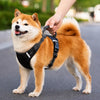 Vest-Style Dog Harness
