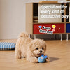 Squeaky Dog Ball Toy