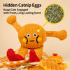 Catnip Squeaky Plush Toy for Cats