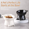 Ceramic Angled Elevated Pet Bowl