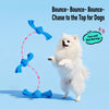 Squeaky Dog Tug Toy with Knotted Rope