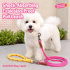 Dog Leash for Everyday Walks