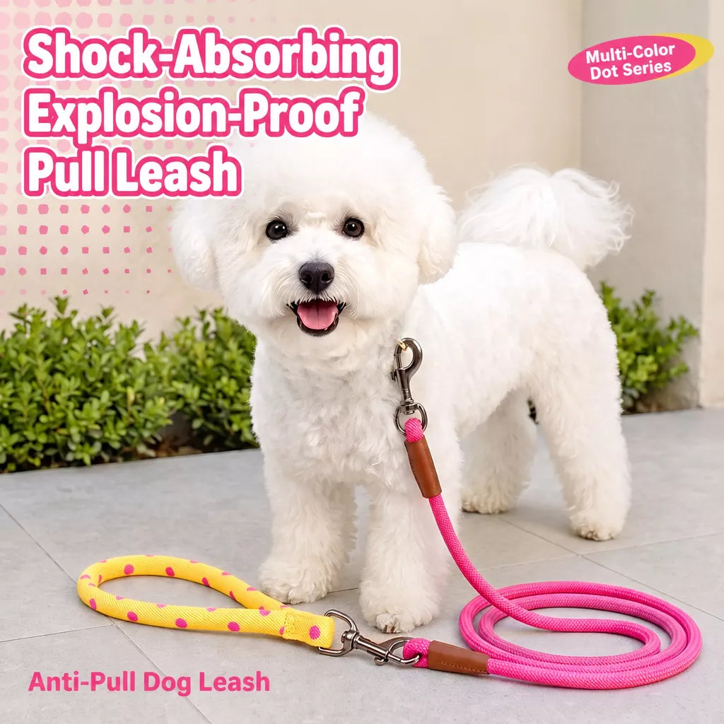 Dog Leash for Everyday Walks
