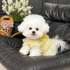 Polka Dot Pet Dress for Dogs & Cats