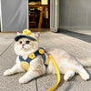 Pet Outdoor Harness and Hat Sets for Small Dogs and Cats