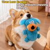 Squeaky Tug Toy for Small & Medium Dogs