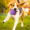 Soft Squeaky Ball Dog Toy