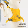Nylon Dog Harness with Leash