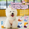 Dog Vest Harness with Leash