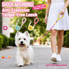Nylon Round Rope Dog Leash for Small and Medium Dogs