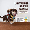 Polyester Harness for Small Dogs