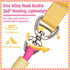 Dog Leash for Everyday Walks