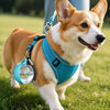 Portable Foldable Dog Water Bowl