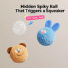 Squeaky Dog Ball Toy