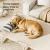 Elevated Dog Cot Bed with Nylon Surface