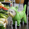 Frog Full-Coverage Raincoat for Dogs with Leash Opening