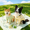 Lightweight Four-Leg Dog Bodysuit for Summer