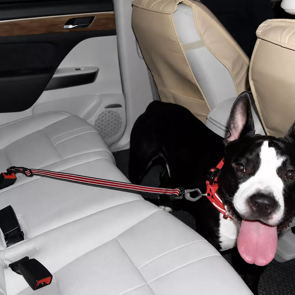 Pet Car Seat Belt Leash for Dogs p-05413