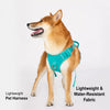Nylon Dog Harness with Leash