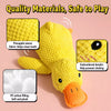 Plush Squeaky Dog Toys