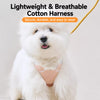Dog Vest Harness with Leash