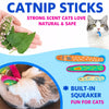 Fish-Shaped Cat Toy