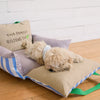 Car Pet Bed with Removable Washable Cover and Seat Belt Strap