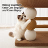 Oval Cat Bed and Sisal Scratcher