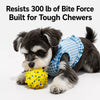 Durable Dog Ball Toy for Chewing and Interactive Play