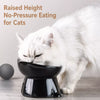 Ceramic Angled Elevated Pet Bowl