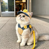 Pet Outdoor Harness and Hat Sets for Small Dogs and Cats